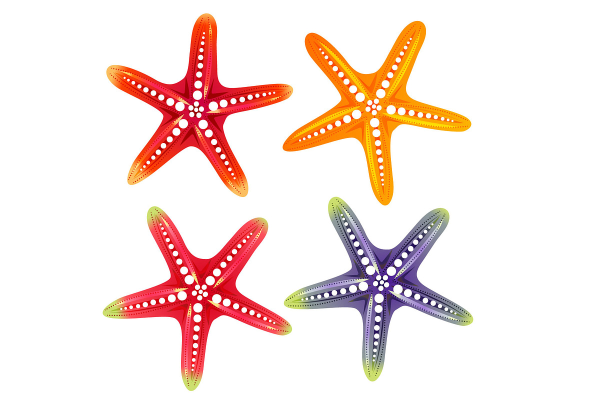 sea shell and star fish icon element, an Object Graphic by Propylparaben (Photo 5 of 5)