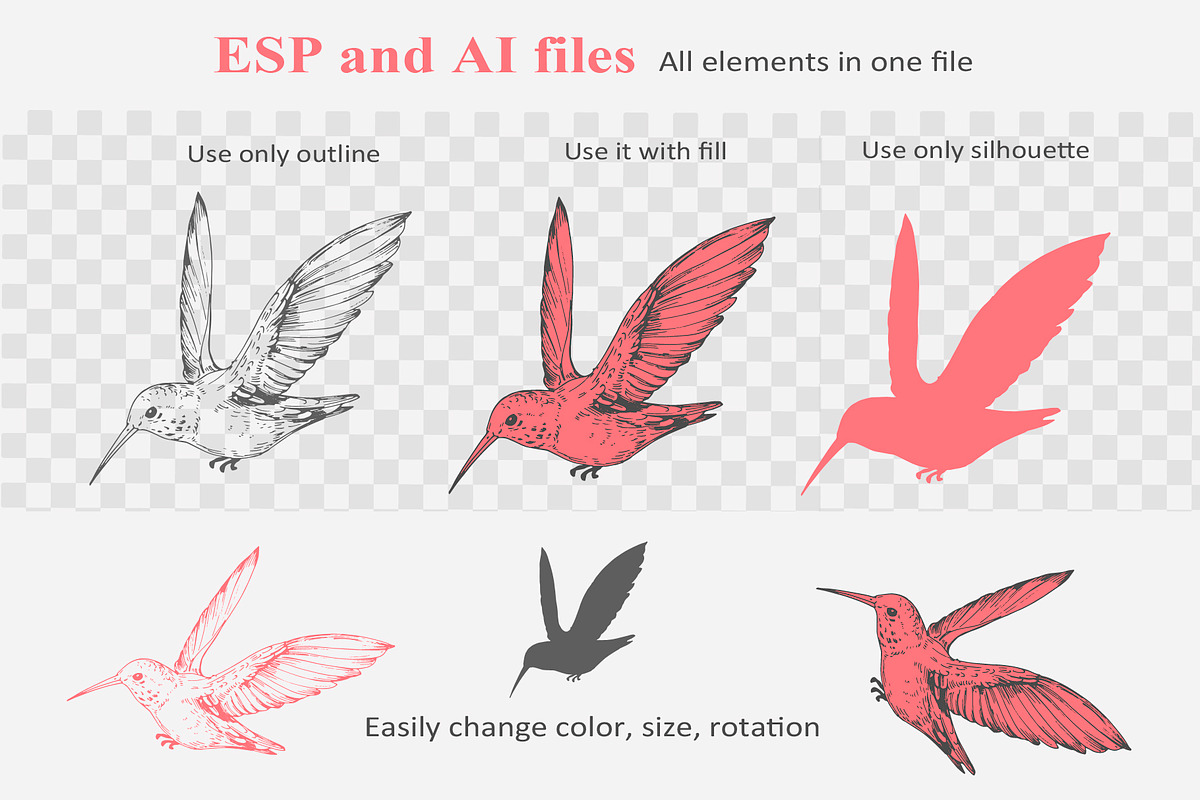 Hummingbird outline, a Decorative Illustration by Aksol (Photo 3 of 4)