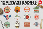 12 Vintage Badge Logos Version 4, a Branding & Logo Template by Graphicgo (Thumbnail 1 of 6)