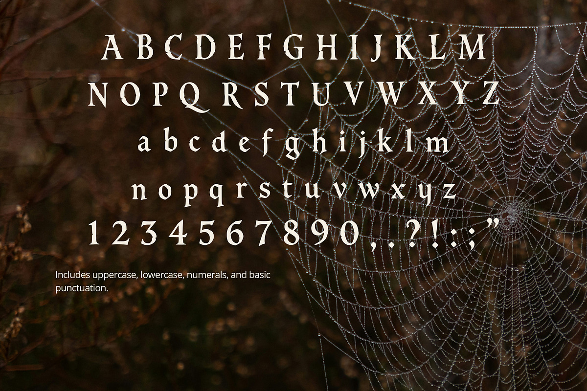 Dark Fairytale Display Serif Font, a Font by foxsong (Photo 4 of 6)