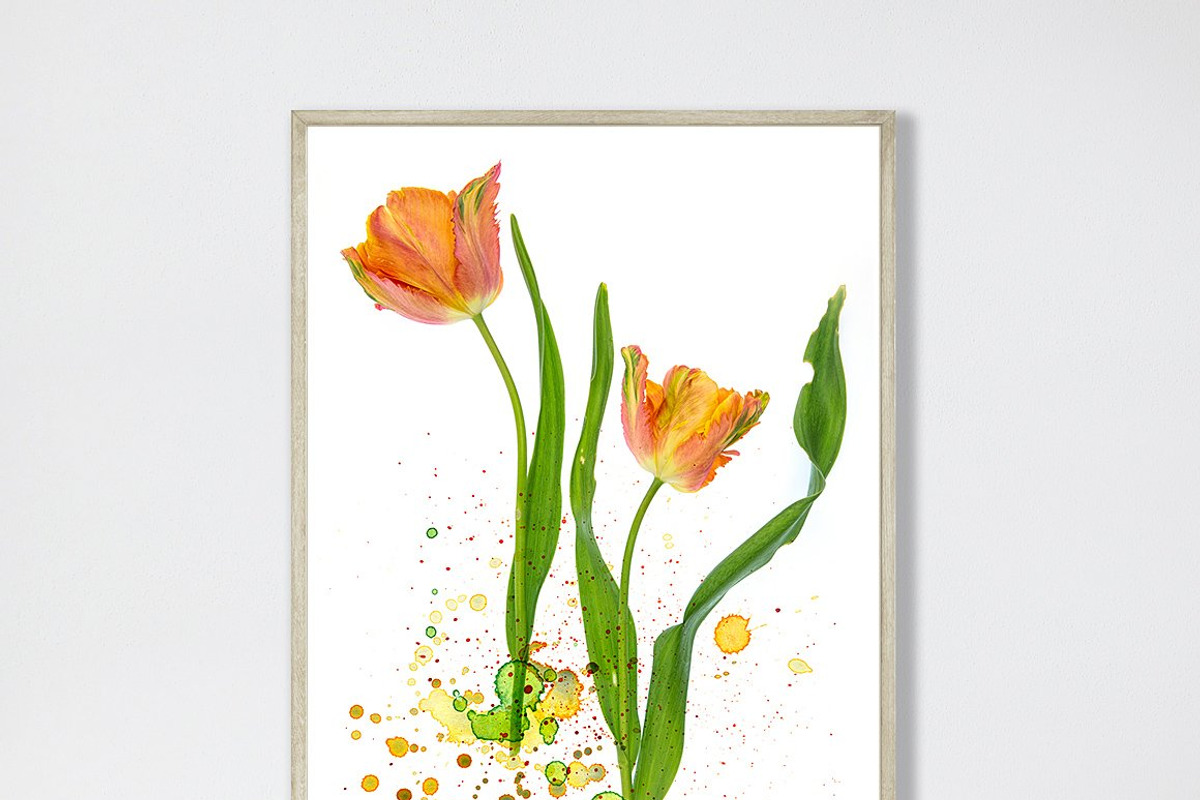 The Complete Inspiration Collection, a Texture Graphic by French Kiss Collections (Photo 11 of 33)