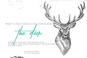 BOHEMIAN DEER ILLUSTRATION, an Illustration by Friendly Label (Thumbnail 2 of 2)