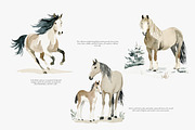 horse clipart horse illustration set, an Illustration by Patishop Art (Thumbnail 3 of 10)