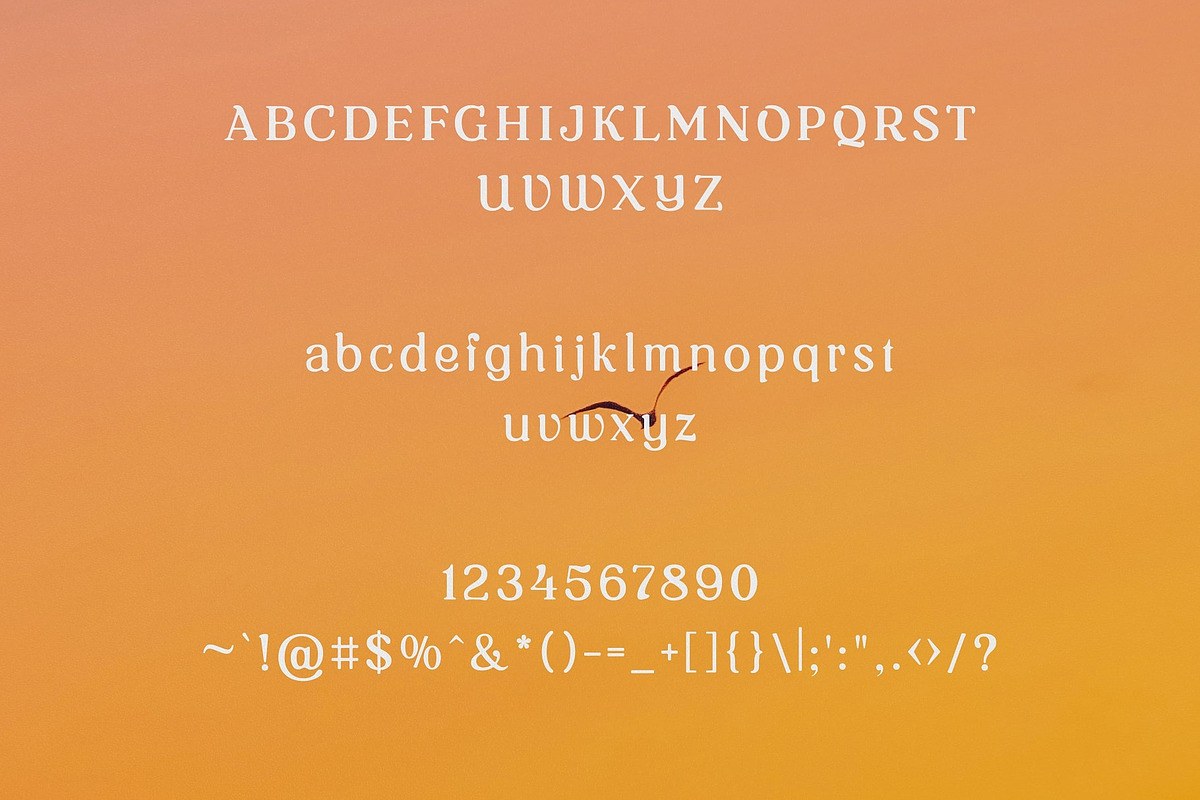 Vintage Oracle Typeface, a Serif Font by HipFonts (Photo 2 of 12)