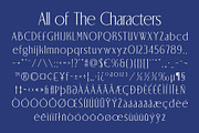 CS Blythe – Stylish Serif Font, a Serif Font by Craft Supply Co. (Thumbnail 8 of 8)
