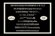 Alkalis Blur, a Serif Font by Craft Supply Co. (Thumbnail 8 of 8)