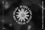 Moon Chief | Groovy Display, a Serif Font by Pentagonistudio (Thumbnail 6 of 11)