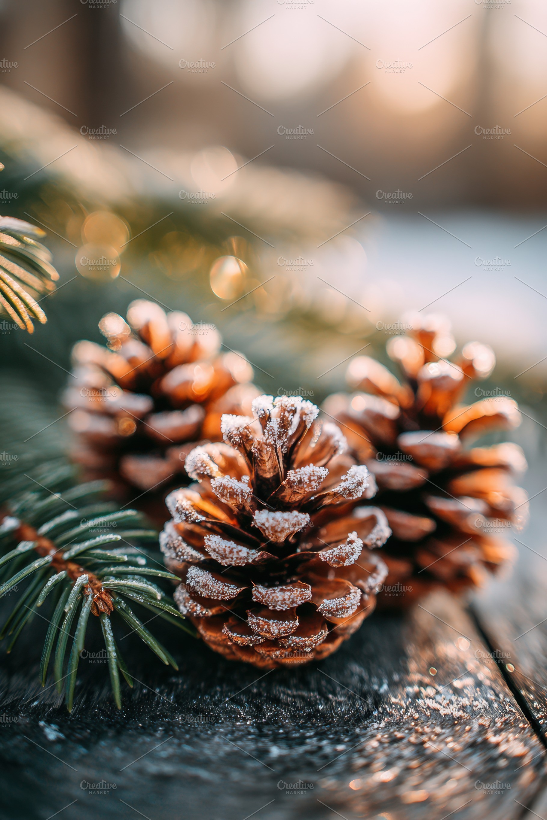 Frosted pine cones on wooden surface, a Nature Photo by AlyaAnd