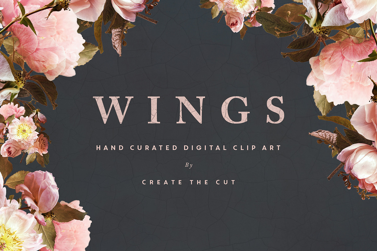 Digital Flower Clip Art - Wings, an Illustration by Create The Cut (Photo 2 of 10)