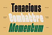 CS Emerson – Bold Font, a Sans Serif Font by Craft Supply Co. (Thumbnail 5 of 8)