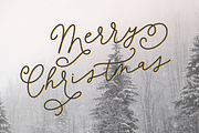 Flowerwood Script Font, a Script Font by Beck McCormick (Thumbnail 4 of 10)