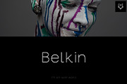 Belkin Display Typeface, a Sans Serif Font by Foxtype (Thumbnail 1 of 5)