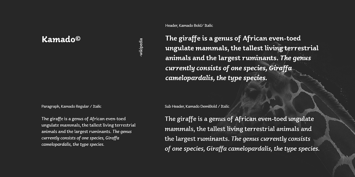 Kamado, a Sans Serif Font by Hashtag Type (Photo 8 of 9)
