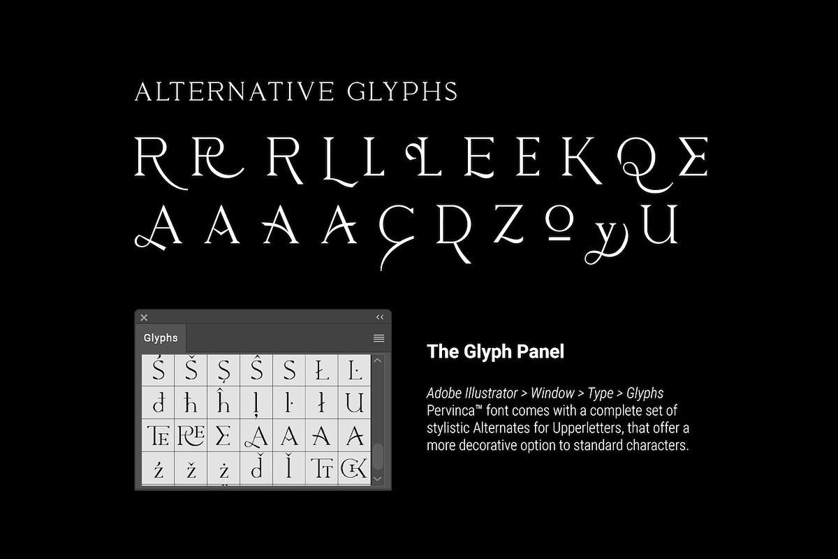 Pervinca Family, a Serif Font by Hederae Type Foundry (Photo 14 of 18)
