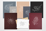 Botany & Moon. Hand Drawn Line Art., a Decorative Illustration by Designwork (Thumbnail 20 of 20)