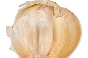 A clove of garlic in a dry beige peel, isolated on a background., a Food & Drink Photo by ndanko