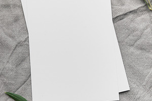 Blank cards with olive branches resting on gray linen fabric, a Background Photo by Olena Rudo