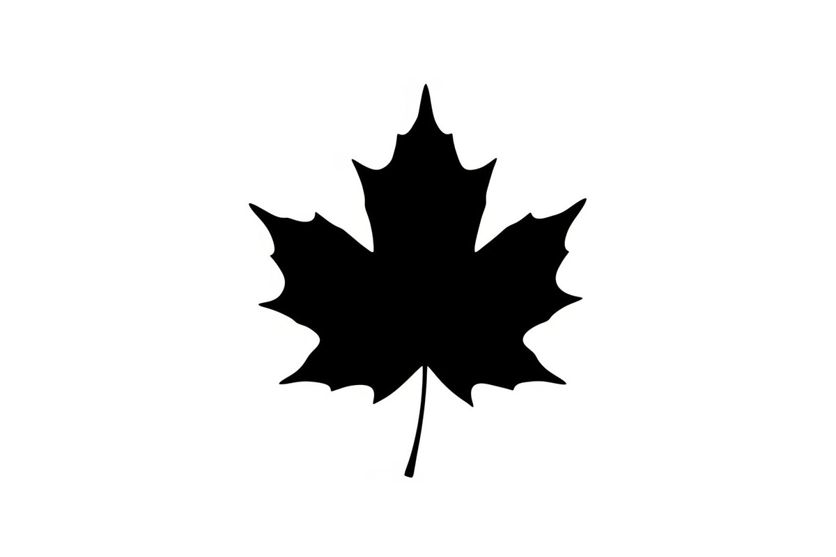 Maple Leaf Silhouette Bundle, a Graphic by musafir_fashion (Photo 4 of 10)