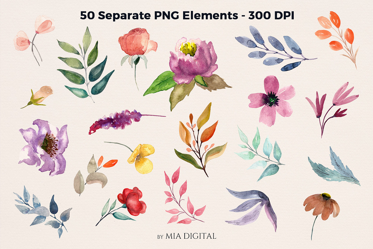 51 Blooming Floral Elements, an Illustration by Mia Digital (Photo 2 of 5)