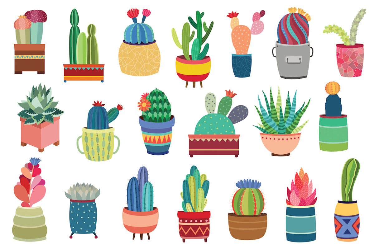 20 Succulents & Cactus Vector / PNG, a Decorative Illustration by Kenna Sato Designs