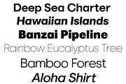 Marlin Sans Slant, a Font by FontMesa (Thumbnail 3 of 10)