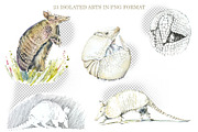 Watercolor Wild Animals, an Animal Illustration by Budogoshch (Thumbnail 4 of 5)