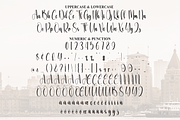 Vintage | Script Font, a Handwritten Font by Scratchones (Thumbnail 7 of 9)