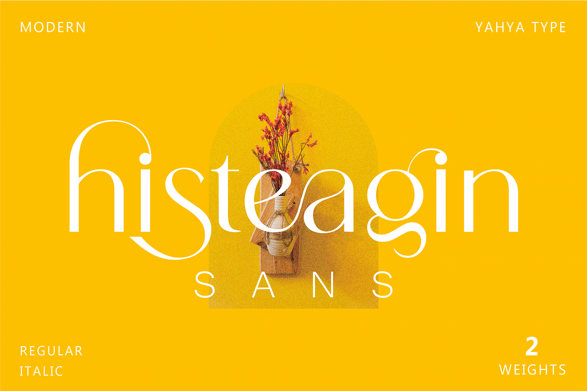 Histeagin Sans, a Sans Serif Font by Yahya Type (Photo 1 of 17)