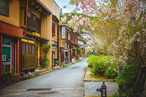 Spring. Flower.
