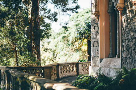 Historic terrace in forest light