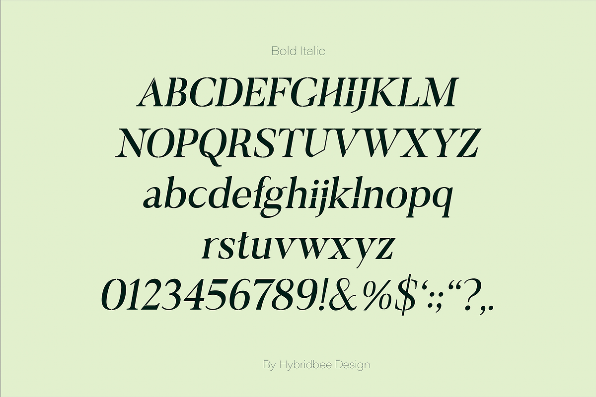 ELAYNE - Display Serif Font, a Serif Font by Hybridbee Design (Photo 9 of 10)