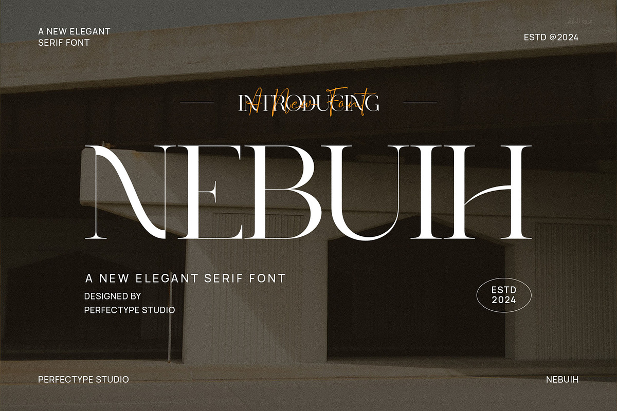 Nebuih Elegant Serif Font Typeface, a Serif Font by Perfectype (Photo 1 of 6)