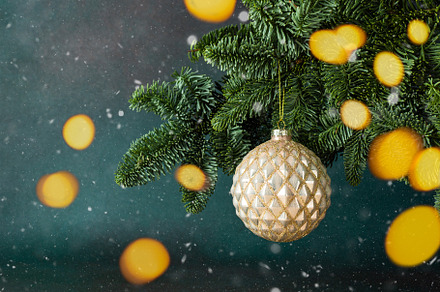 Christmas ball, a Holiday Photo by Pandateam