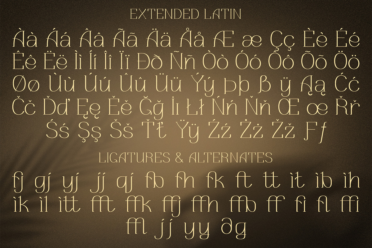 Angoba - Modern Luxury Serif Font, a Serif Font by Fedfonts (Photo 3 of 7)