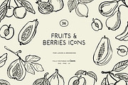 FRUITS line art illustrations, a Food Illustration by Crocus Paperi (Thumbnail 1 of 5)