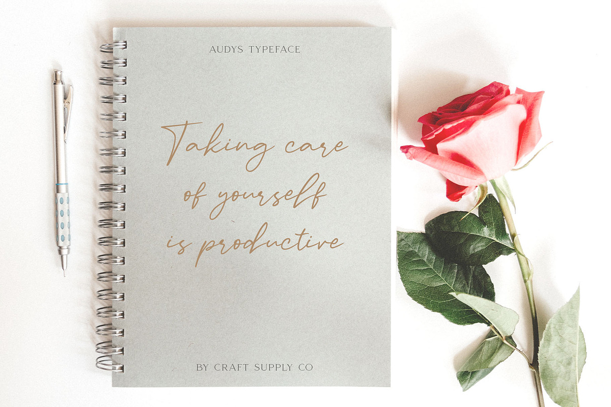 Audys - Elegant Script Font, a Script Font by Craft Supply Co. (Photo 7 of 9)