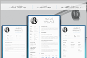Resume Template | CV Template, a Resume Template by introDuice - CV / Resumes (Thumbnail 6 of 6)