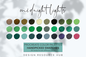 Midnight Lights Procreate Palette