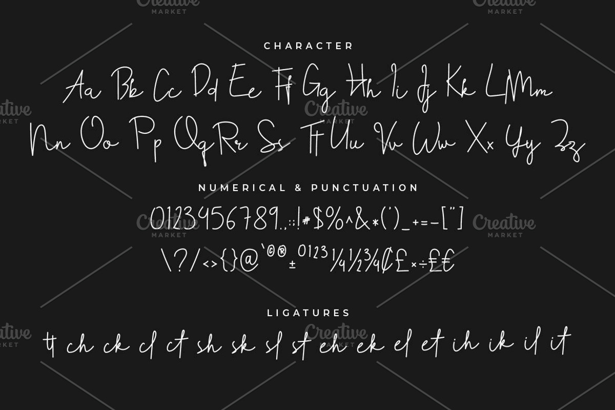 Teliti Signature Script, a Script Font by Artiveko (Photo 2 of 7)