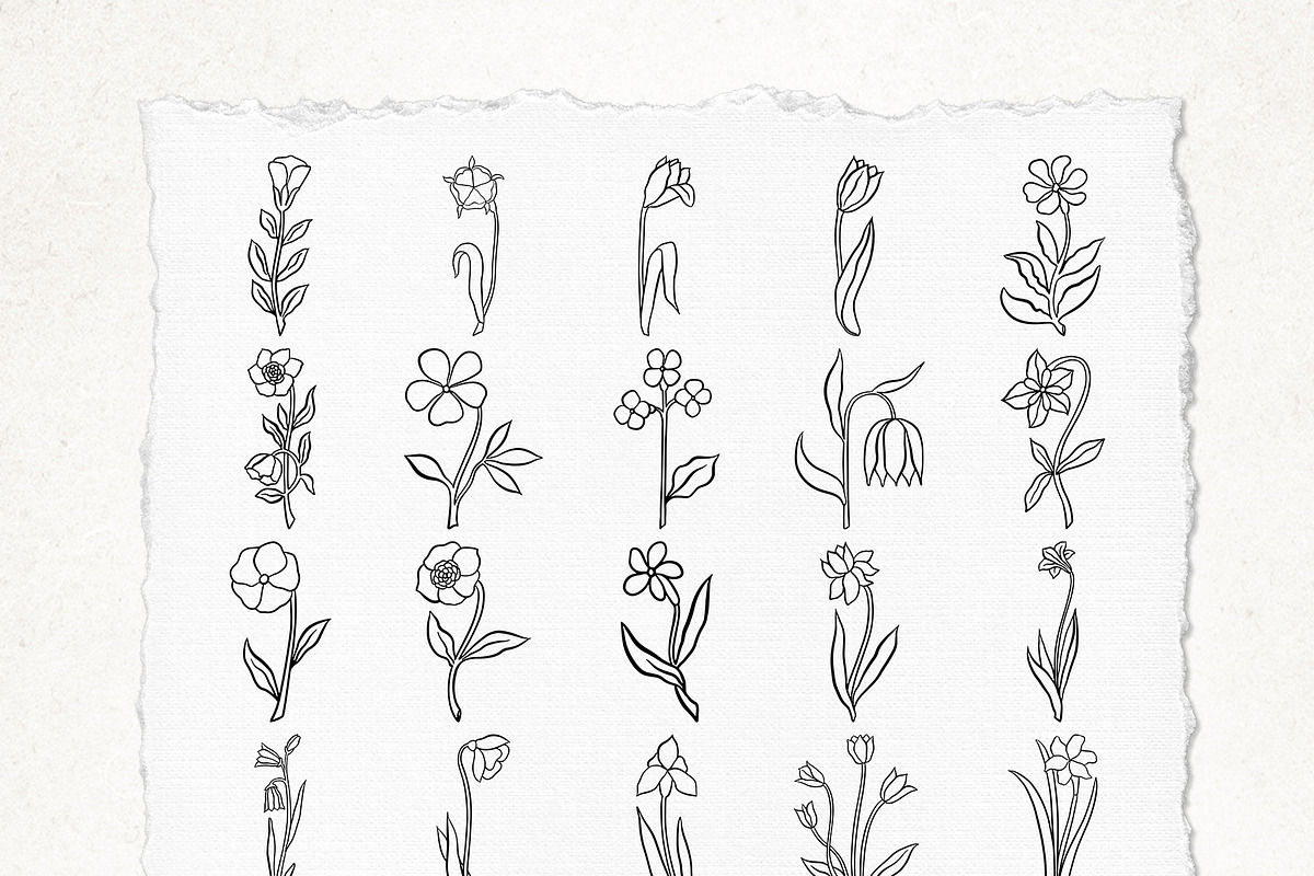 89 LINE ART FLOWER ILLUSTRATIONS, an Illustration by Katerina Osa (Photo 8 of 10)