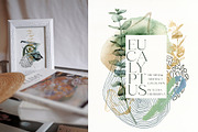 Eucalyptus watercolor leaves clipart, a Decorative Illustration by Yuliya Derbisheva (Thumbnail 3 of 15)