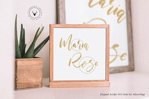 Maria Rose Elegant Script SVG Font