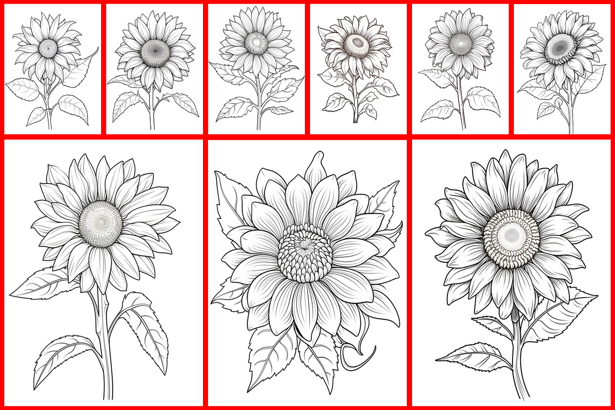 Sunflower Coloring Page, a Graphic by Forhadx5 (Photo 6 of 7)