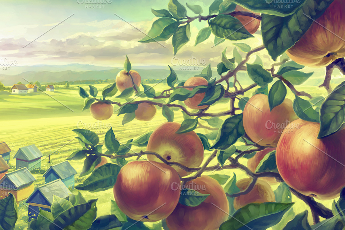 Apple set, a Food Illustration by Countryside life (Photo 2 of 12)