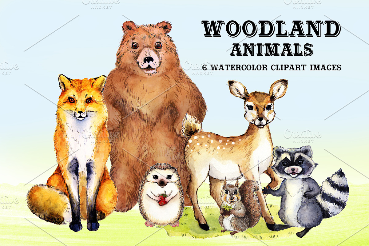 Watercolor Woodland Animals #2, an Animal Illustration by Whimseez (Photo 4 of 4)