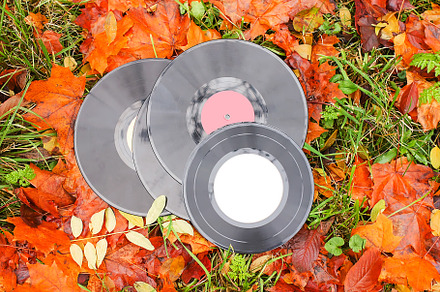 Vintage vinyl records on fall leaves stock photo containing analog and, an Arts & Entertainment Photo by pictures for you