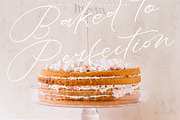 Buterlife Majestic Elegant Script, a Script Font by stylishtype.co (Thumbnail 9 of 20)