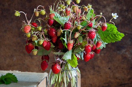 Strawberries and old books stock photo containing antique and berry