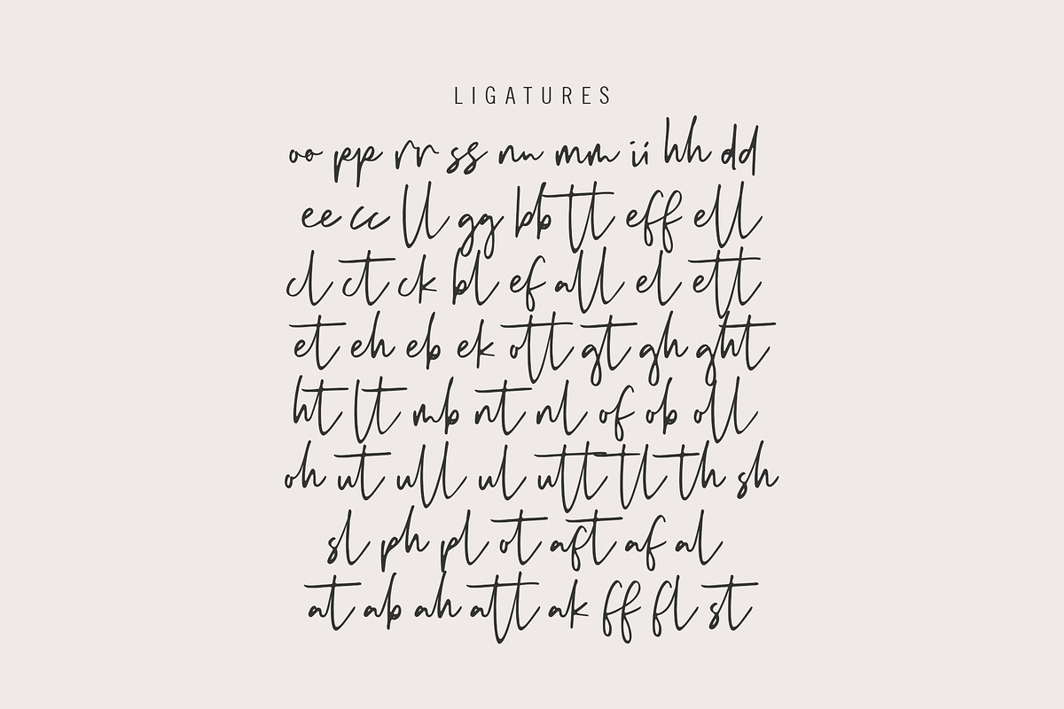 Keisha Sierra | Signature Font, a Script Font by Awanstudio (Photo 8 of 10)