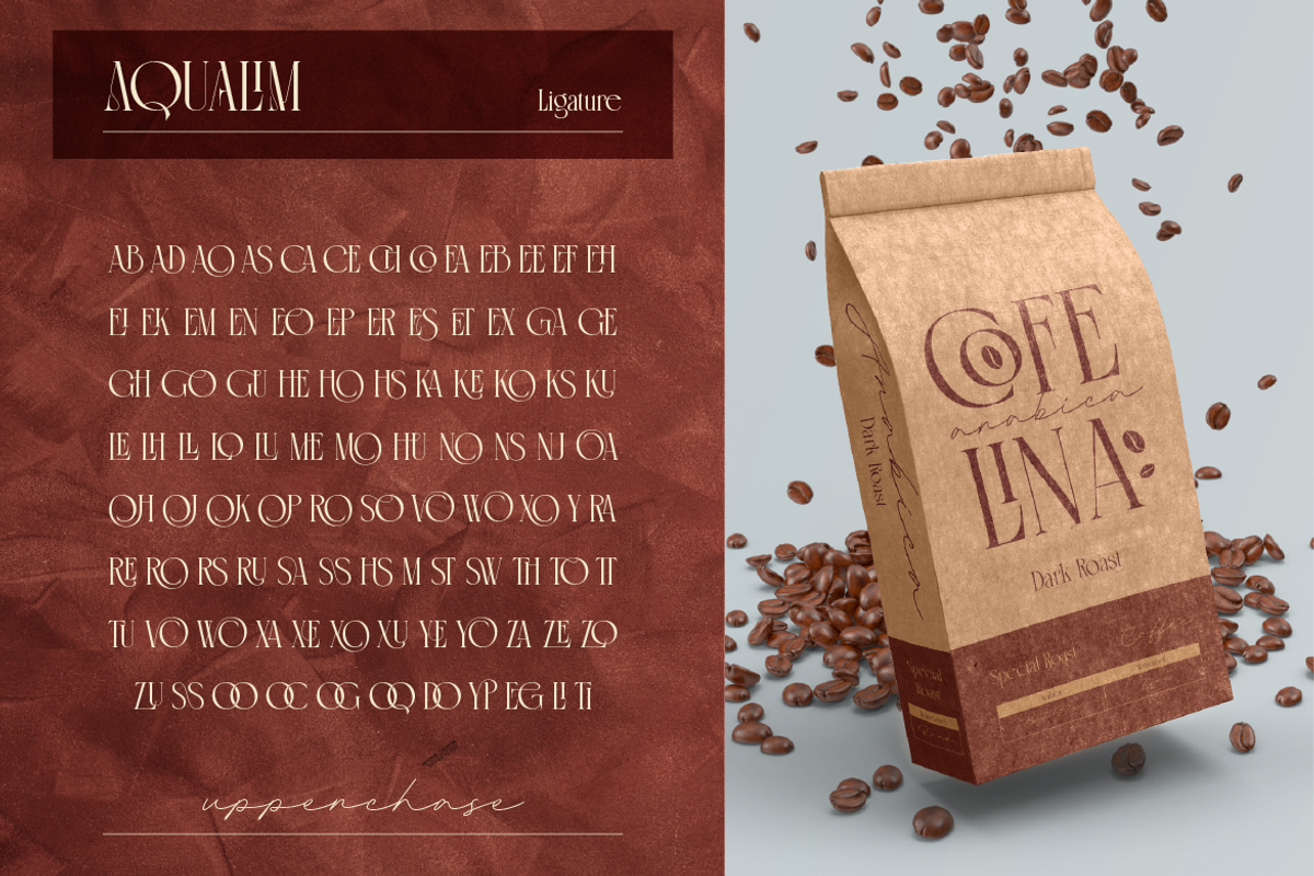 Aqualim Signature - Duo Font, a Serif Font by Burntilldead (Photo 8 of 12)